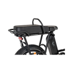 Side view of RadRunner Passenger Bars and the Black Passenger Package.