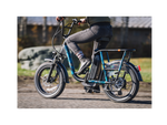 RadRunner™ Plus Electric Cargo Utility Bike