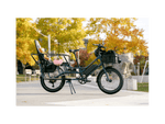 RadWagon™ Electric Cargo Bike