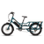 RadWagon™ Electric Cargo Bike
