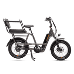 RadRunner Caboose and Passenger Package installed on a RadRunner 3 Plus electric utility bike