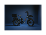 RadExpand™ 5 Plus Electric Folding Bike