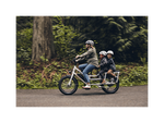 RadWagon™ 4 Electric Cargo Bike