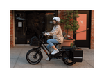 RadWagon™ 5 Electric Cargo Bike