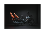 RadWagon™ 5 Electric Cargo Bike